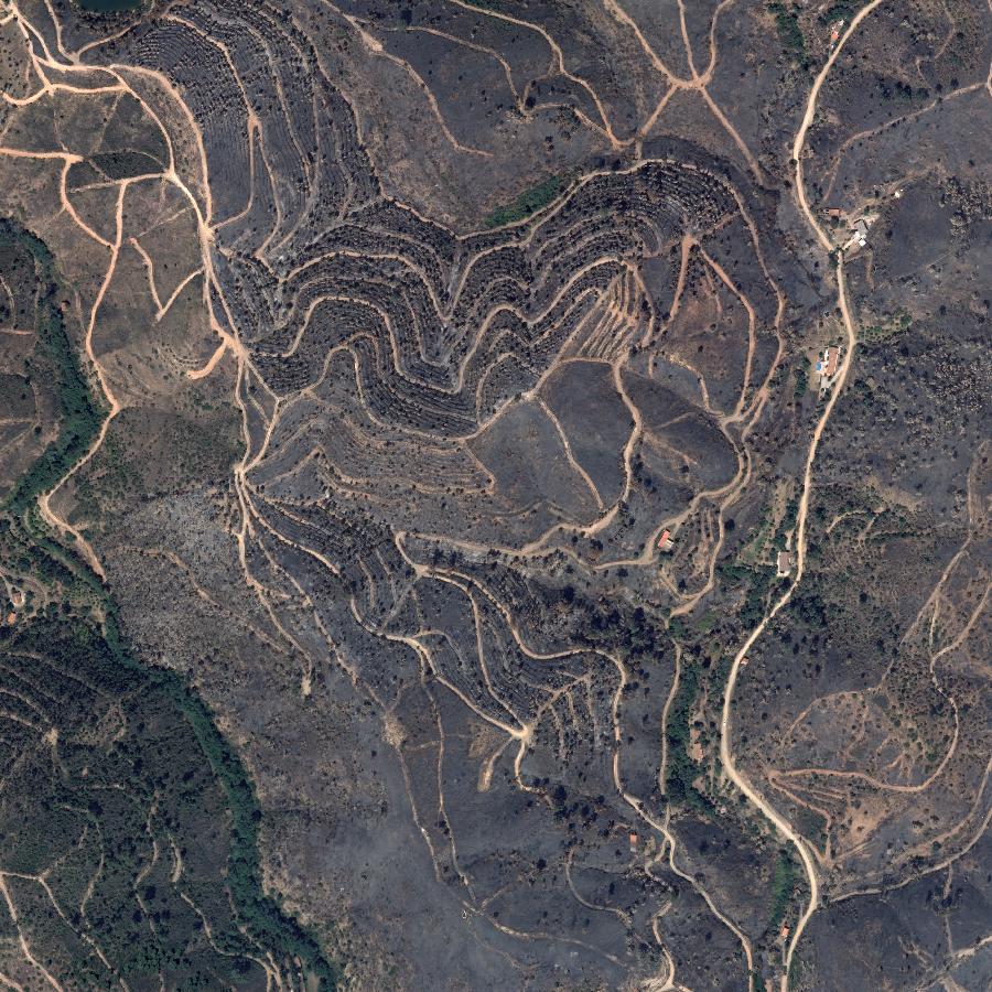 Aerial view of the surrounding area, about one kilometre across